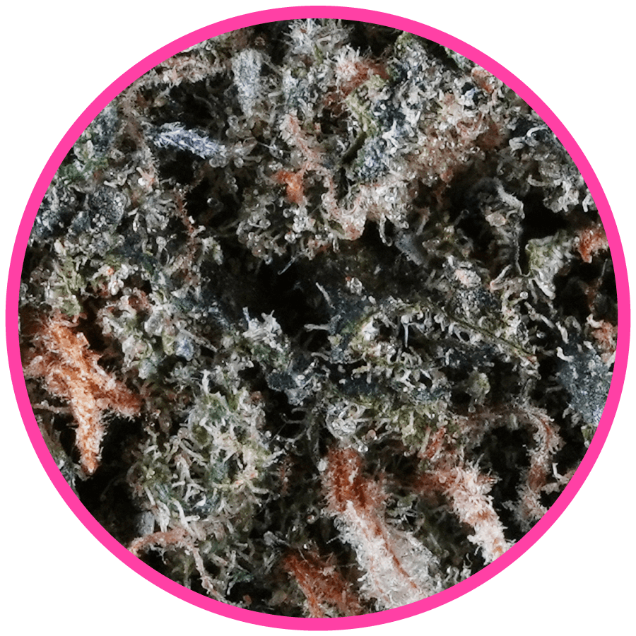 Pink panties strain, Pink panties pre-rolls image