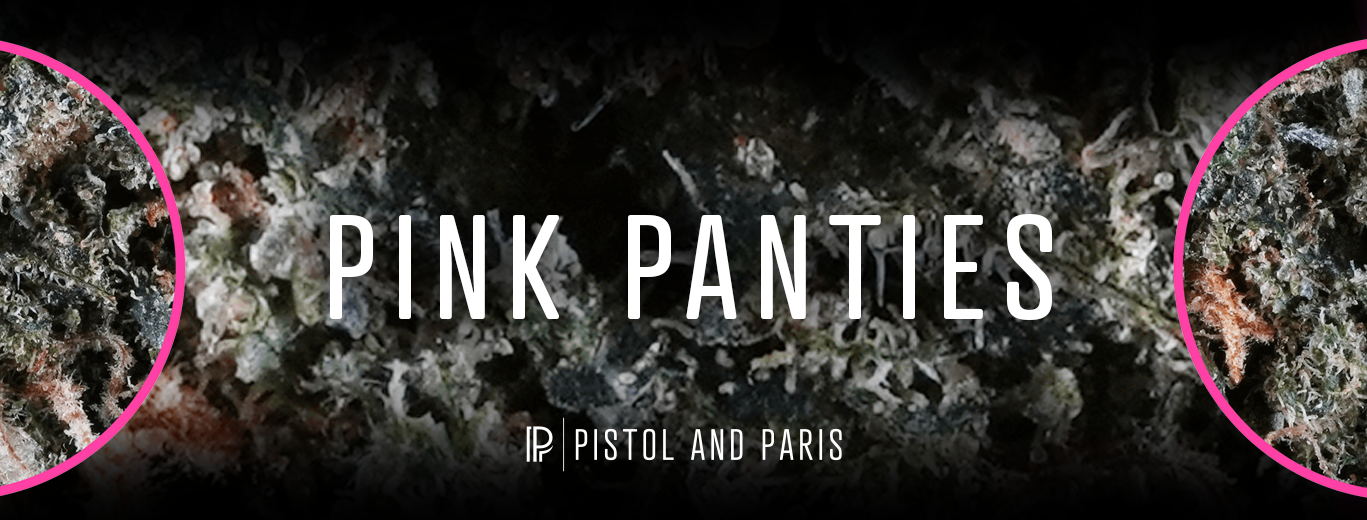 Pink Panties Strain by Pistol and Paris - Indica Dominant Hybrid Strain available at your local Canadian dispensary Pink Panties Weed Strain