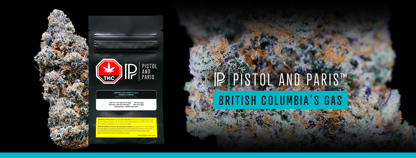 British Columbia's Gas by Pistol and Paris. Bubba Punch Strain